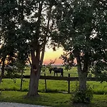 Apartamento Koje Luett Kirr Zingst
